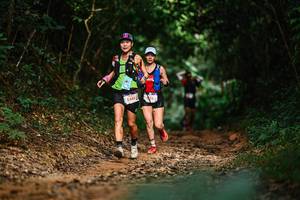 BIB: 
                            <button type="button" onclick="openModal(22442177)" class="btn btn-primary btn-sm float-right btn-popup" data-toggle="modal" data-target=".modal-high-quality">
                        <i class="fas fa-shopping-cart"></i> Add to Cart
                    </button>
                                            <button type="button" onclick="isThisMe(22442177, true)" class="btn btn-success btn-sm float-right btn-popup btn-isme hidden" data-toggle="tooltip" data-placement="bottom" title="นี่คือรูปของคุณใช่ไหม คลิกที่นี่เพื่อเอาเข้าอัลบั้ม">
                        <i class="fas fa-plus"></i> Add to album
                    </button>
                    <button type="button" onclick="isThisMe(22442177, false)" class="btn btn-warning btn-sm float-right btn-popup btn-isnotme hidden">
                        <i class="fas fa-ban"></i> Remove from album
                    </button>